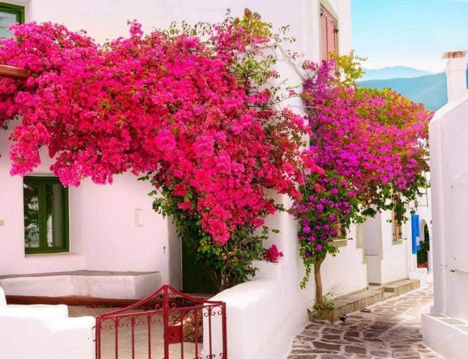 Nafpaktos Apartment And Studios In Port المظهر الخارجي الصورة
